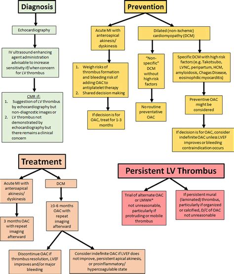 Lv thrombus treatment